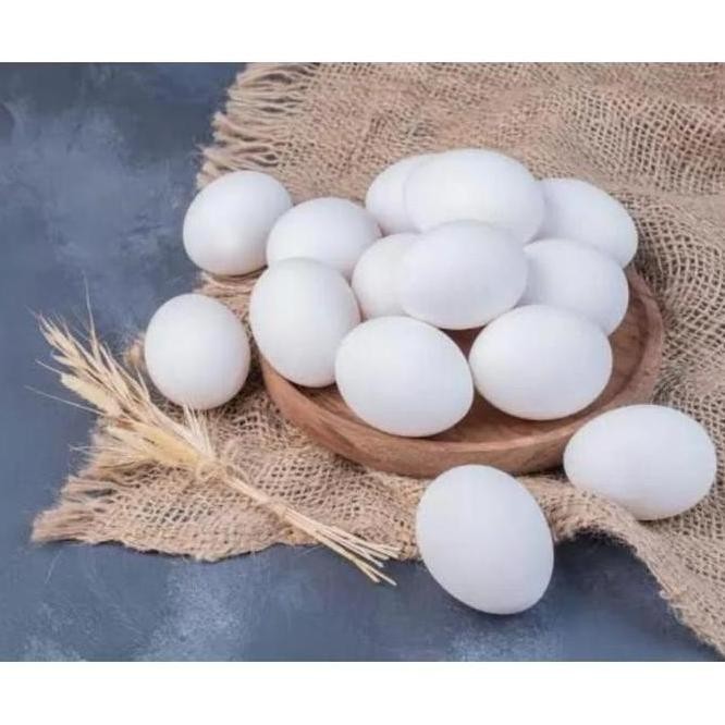 

TELUR VERTIL AYAM KAMPUNG ASLI ( TELUR AKA BISA DI TETASKAN)