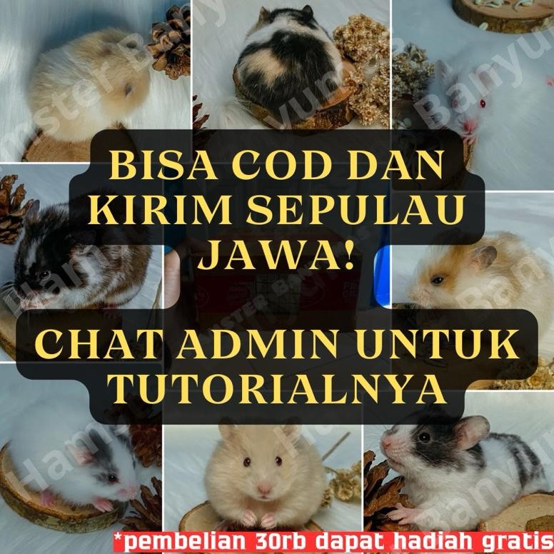 

NEW!!! Packing Kardus Khusus Varn (Kirim Sepulau Jawa) Bisa COD
