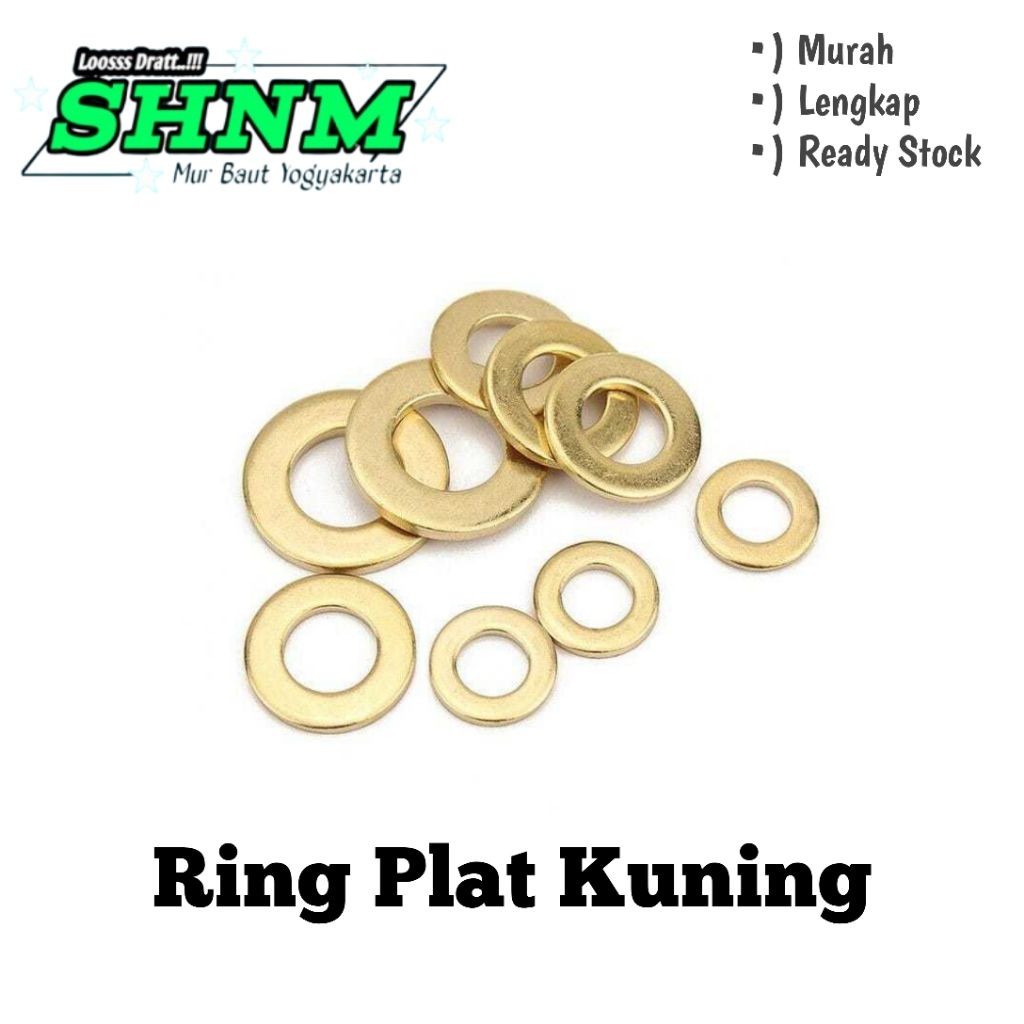 Ring Plat M10 Tebal