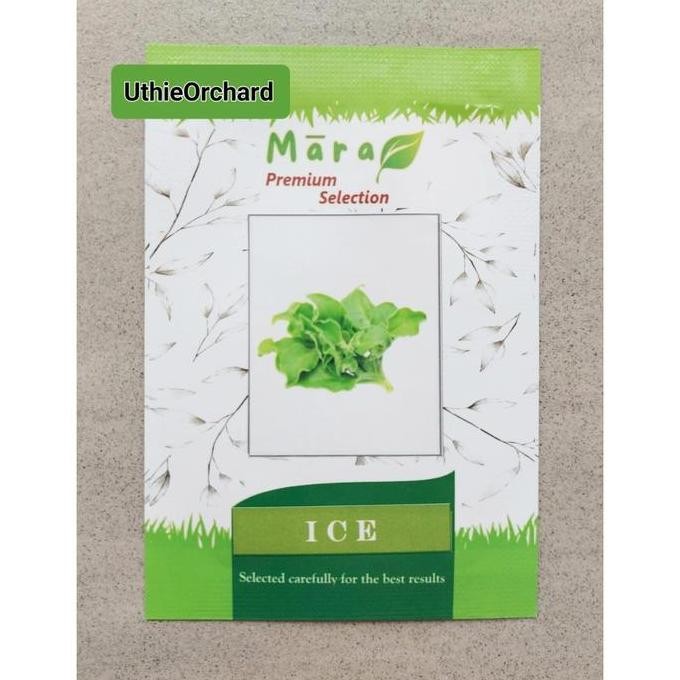 baru Mara Premium Selection - Benih Crystalline Ice Plant (Ice Lettuce) Ice 100 seeds