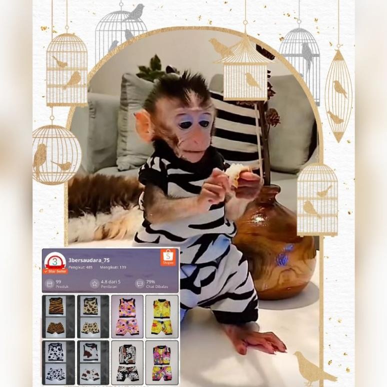 (Terbaru) Setelan baju untuk Baby monyet (monpai) (Terlaris)