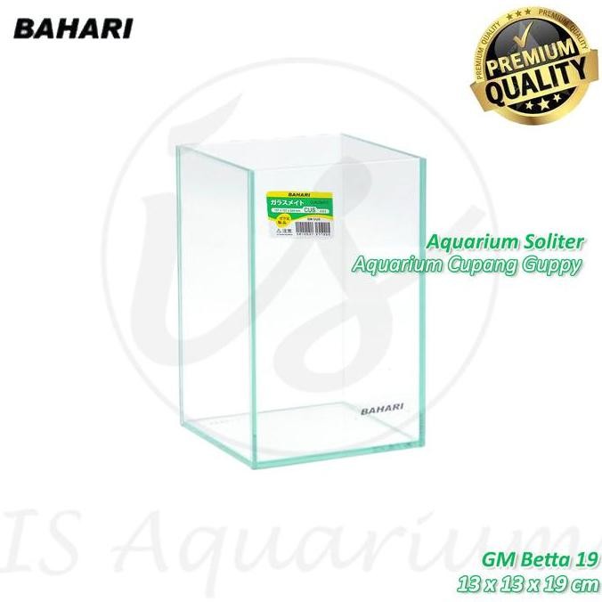 Nisso Bahari Aquarium Cupang Glassmate Gm Betta 19 Soliter Guppy