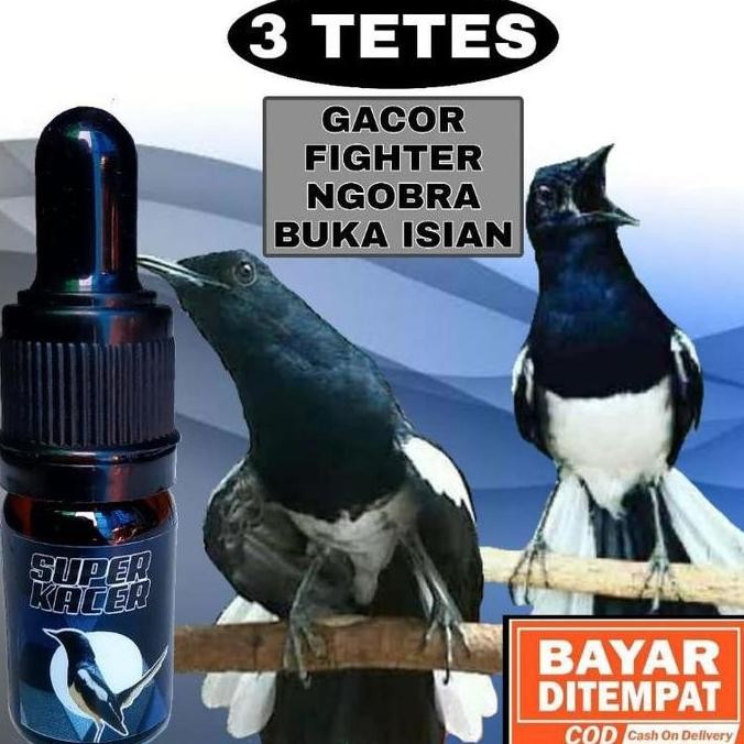 SUPER KACER VITAMIN PENGGACOR KHUSUS BURUNG KACER