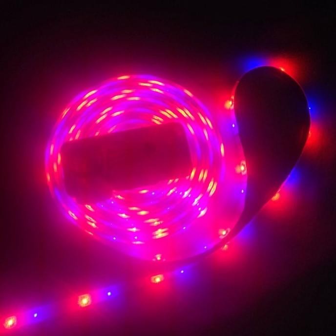 [Expert] Lampu Led Strip RGB Warna Warni IP44 Anti Air 12 Volt 12v Waterproof