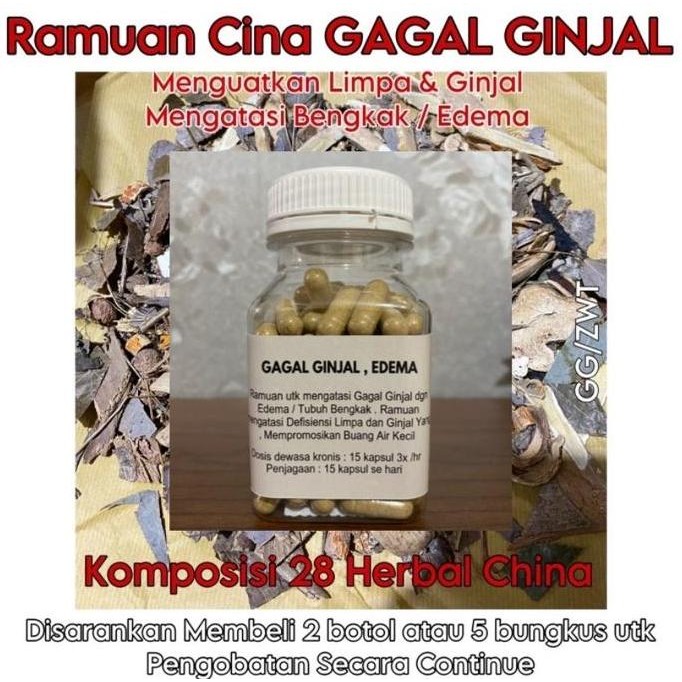 BEBAS ONGKIR - Obat Cina GAGAL GINJAL dan EDEMA Mengatasi Tubuh Bengkak Parah