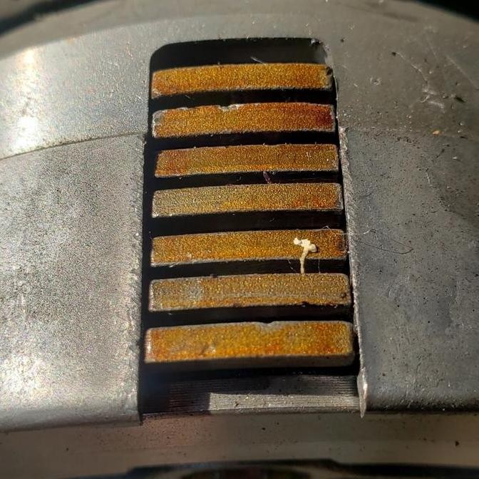 kopling assy regal raptor benelli sanex