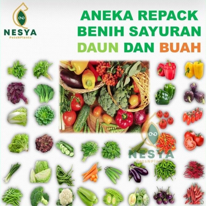 [Expert] Benih Sayur Sayuran Daun Buah Rumahan Lengkap Berkualitas - Benih Sayur