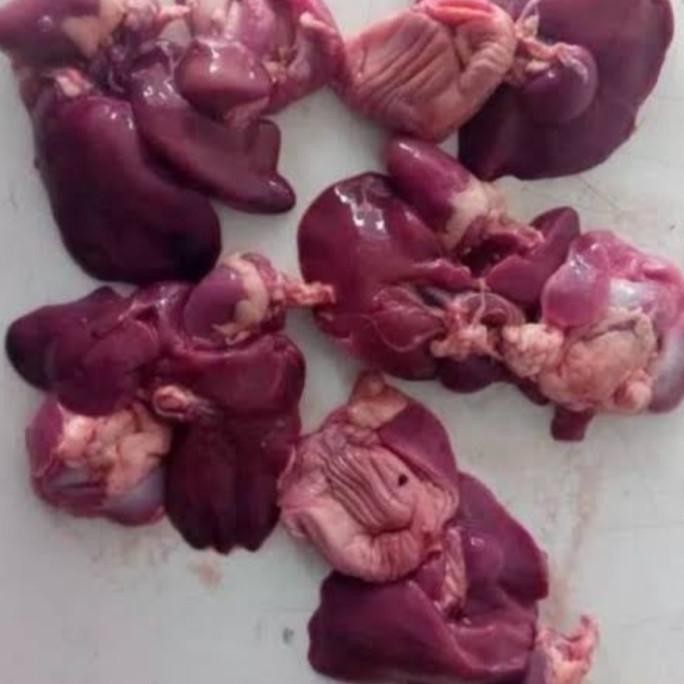 

(Expert) ampela ati rempelo ati ayam