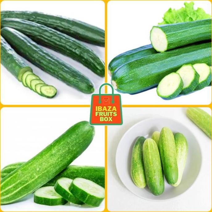 

Timun Sayur Segar, Timun Baby, Timun Kyuri, Timun Zukini, Timun Suri