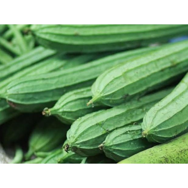 

SayurHD sayur segar oyong 250gr