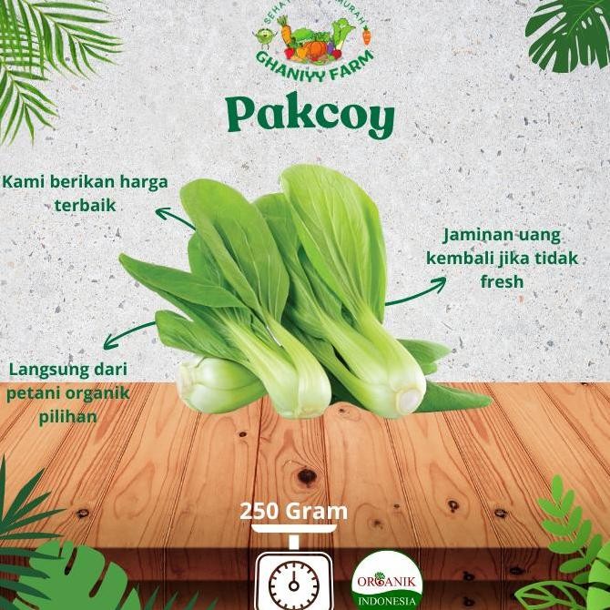 

Sayur Organik Murah Segar by Organik Indonesia Pakcoy Organik