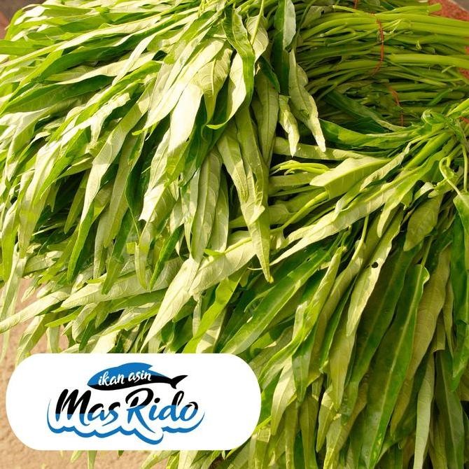 

Sayur Kangkung Segar Fresh 1 Ikat Kwalitas Super Harga Murah