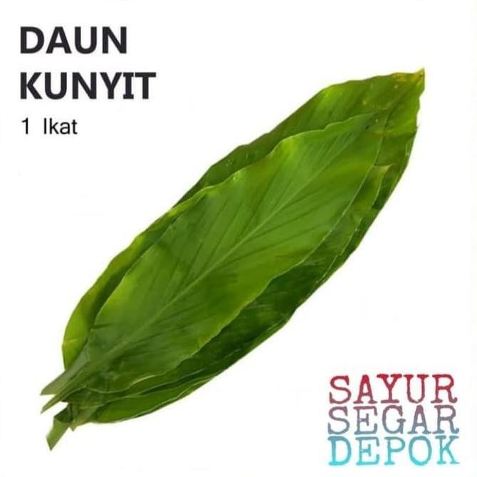 

DAUN KUNYIT 1 IKAT / SAYUR SEGAR DEPOK