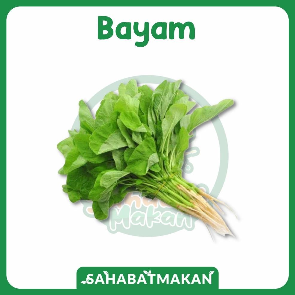 

Sayur Daun Bayam Hijau Sahabat Makan Sayur Jogja
