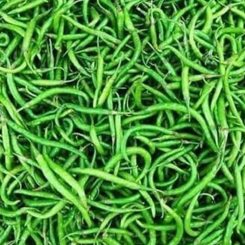 

cabe ijo keriting murah meriah 1kg cabei hijau keriting fresh