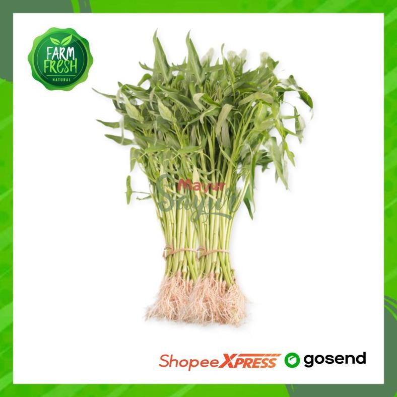 

KIRIM INSTAN Sayur Kangkung / Per Ikat