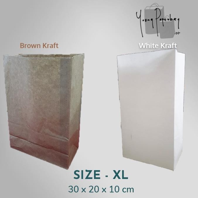 

Ty-35 Paper Bag / Kantong Kertas Kraft Sos Polos Size Xl 12
