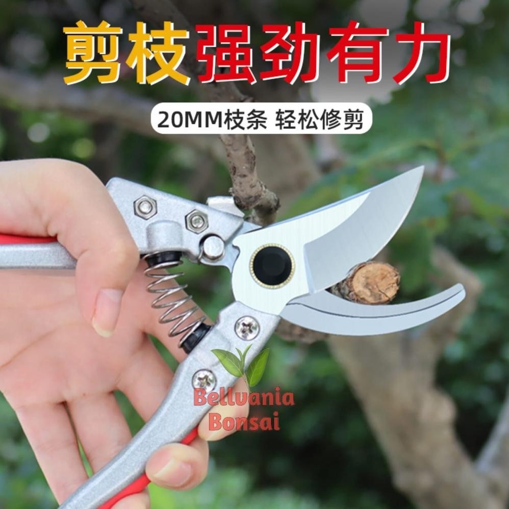 

Gunting Prunning Dahan Dan Ranting Kualitas Best Premium 21 Cm AST
