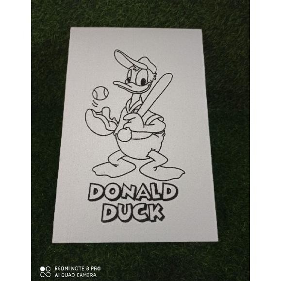 

sterofoam gambar isi 20 ukuran 33x50x1cm AST