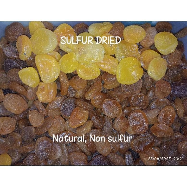 

Ready Aprikot Kering Buah Apricot Dried Apricot