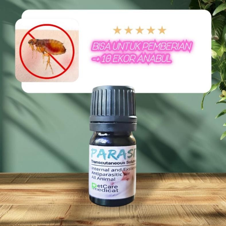 Viral Obat Kutu Kucing Ampuh Obat Cacing Ampuh Obat Kutu Kucing Ampuh Obat Kutu Ampuh Obat Scabies A