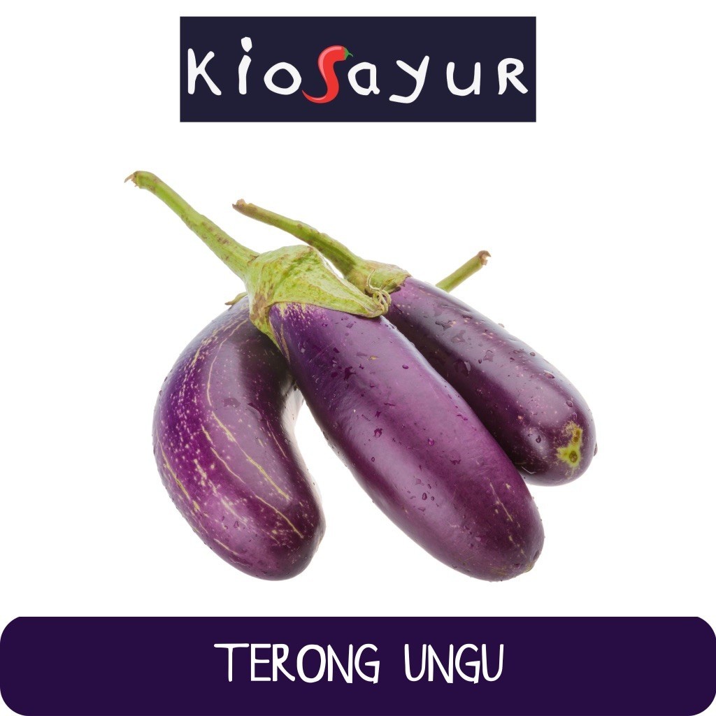 

Terong Ungu Lokal Kiosayur