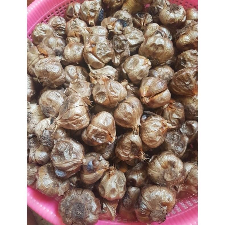 

Bawang Hitam Kating/Bonggol 1 Kg Netto