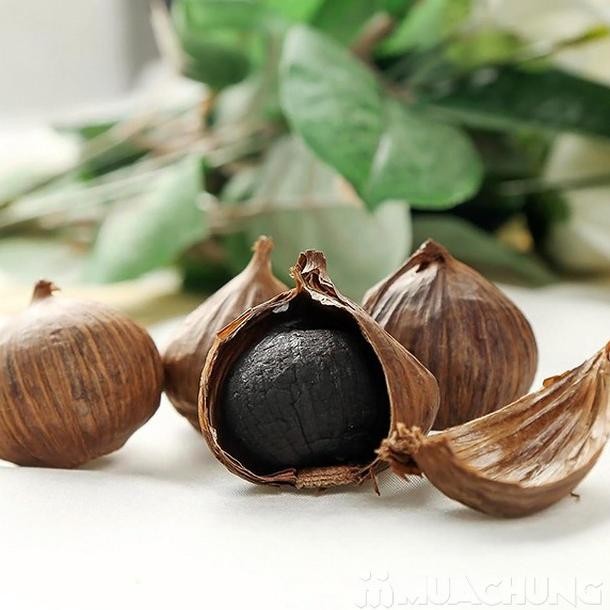 

Suka - Fermented Black Garlic Kaya Nutrisi Antioksidan