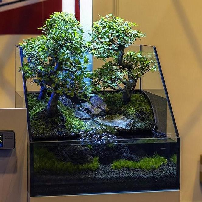 Paludarium Waterfall Mist Terrarium Tank Aquarium Kaca