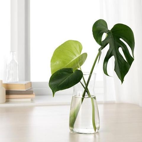 ready Vas Bunga tinggi 20 cm Kaca