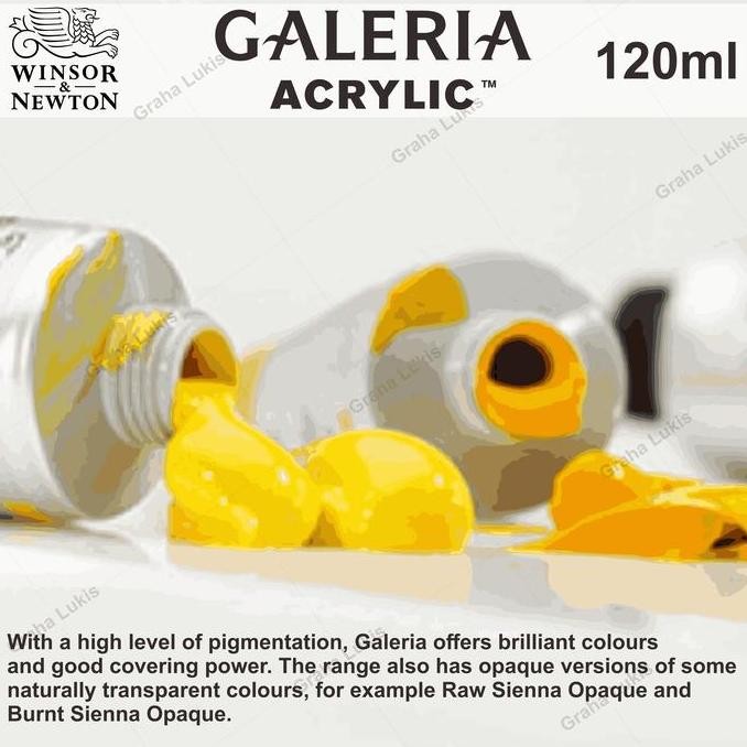

ready Galeria Acrylic Winsor & Newton 120ml varian 2