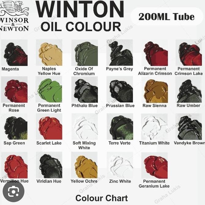 

ready WINTON OIL COLOR 37ML