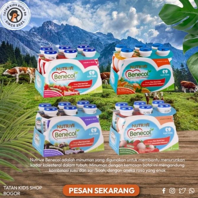 

(Expert) Susu Nutrive benecol untuk kolesterol 6 botol Nutrive Fibershoot Yougurt