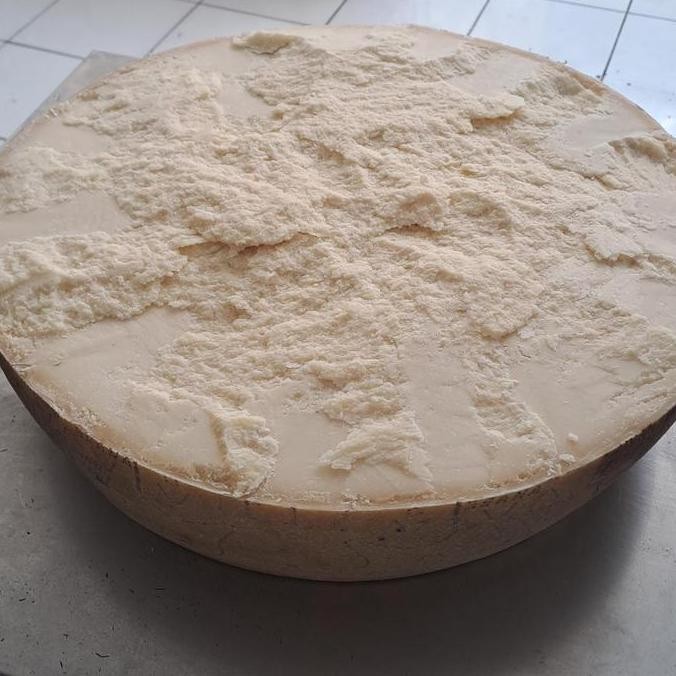 

Promo Grana Padano Half Wheel +- 20 Kg