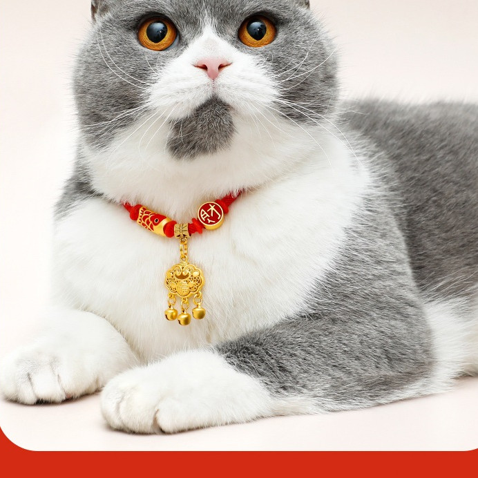 Kalung kerah hewan peliharaan kalung kucing dan anjing tali merah lonceng umur panjang untuk kucing 