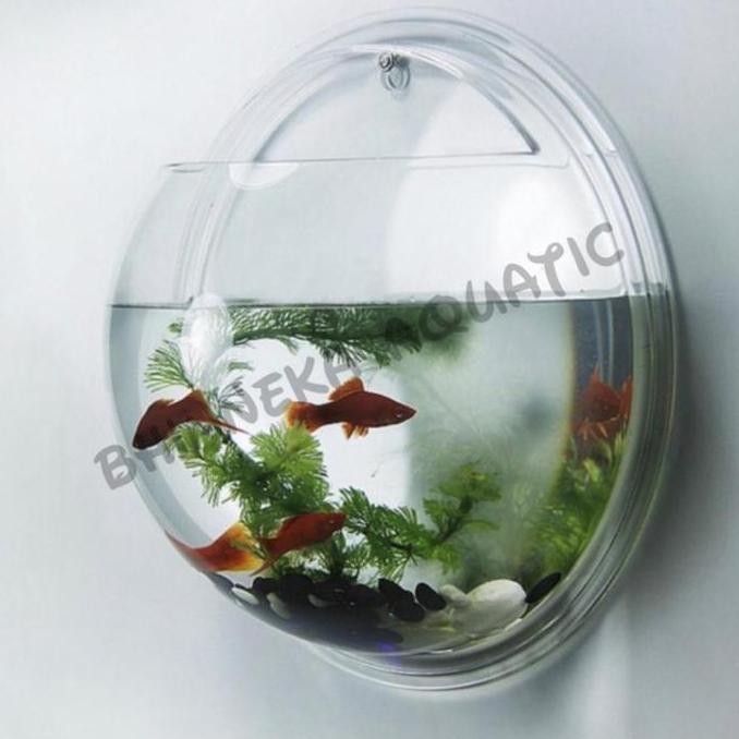 Aquarium Aqrylic Akrilik Bulat Gantung Tempel Dinding 15 Cm