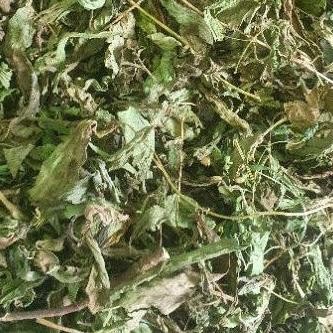 

Daun Stevia Kering Alami 100gr Daun Murni RB10