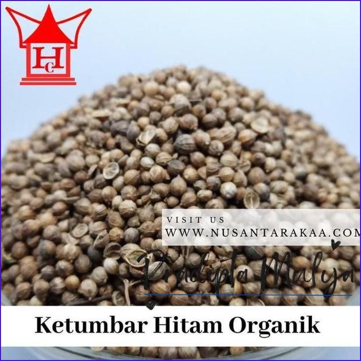 

Langsung Gas.! Ketumbar Hitam Organik 1 Kg