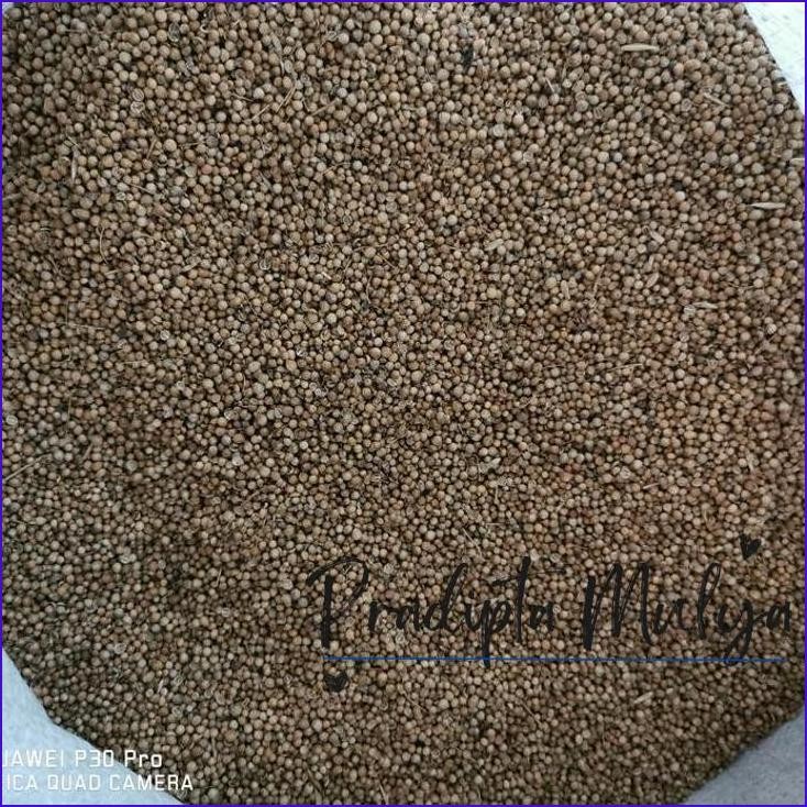 

Gass.! Ketumbar Biji Kg / 500Gr