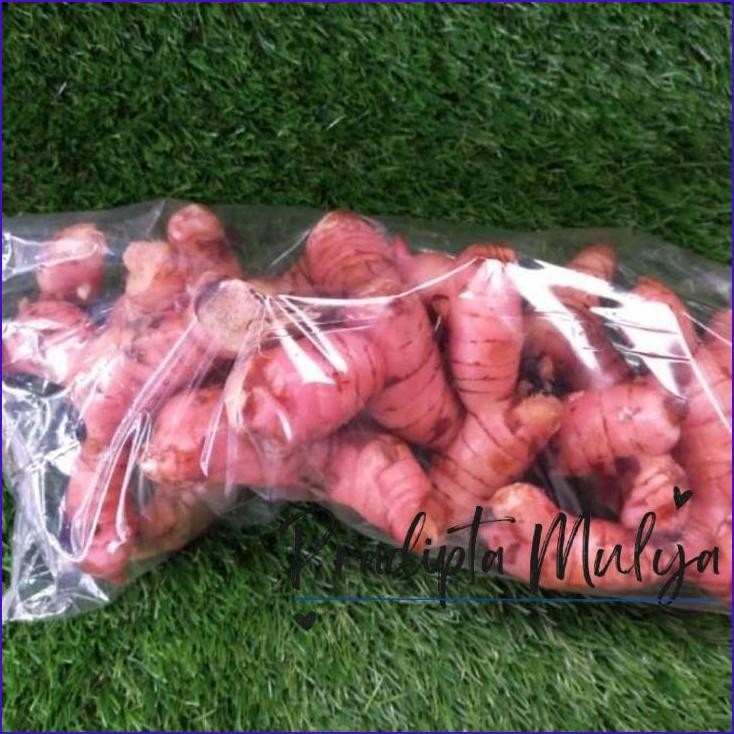 

Terbaru..!! Bumbu Dapur Lengkuas/Laos/Laja/Galangal 50Gr / 100Gr / 250Gr / 1Kg