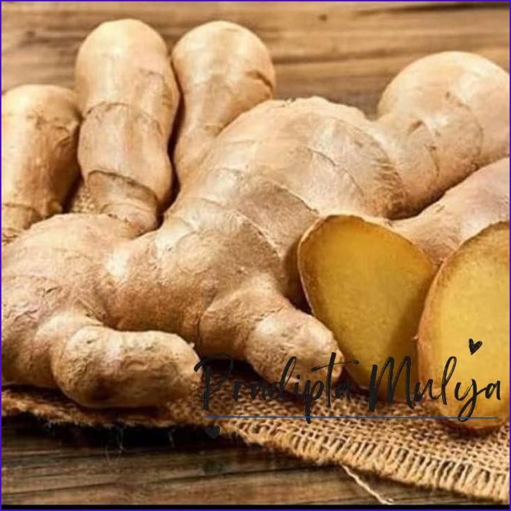 

Yok Di Order Jahe Segar 250Gr