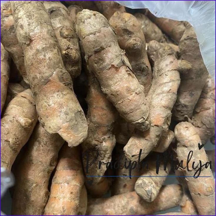 

Promo..!! Kunyit Fresh / 1 Kilogram / Besar / Grosir / Super / Jumbo