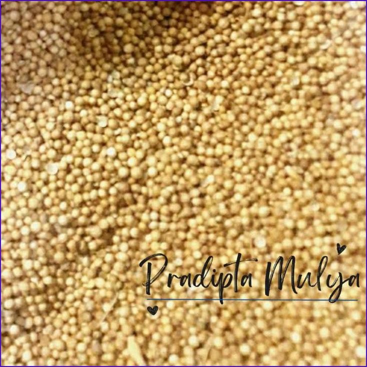 

Buruan,.!! Ketumbar Butir Herbal (Coklat Cocok Untuk Obat) Asli