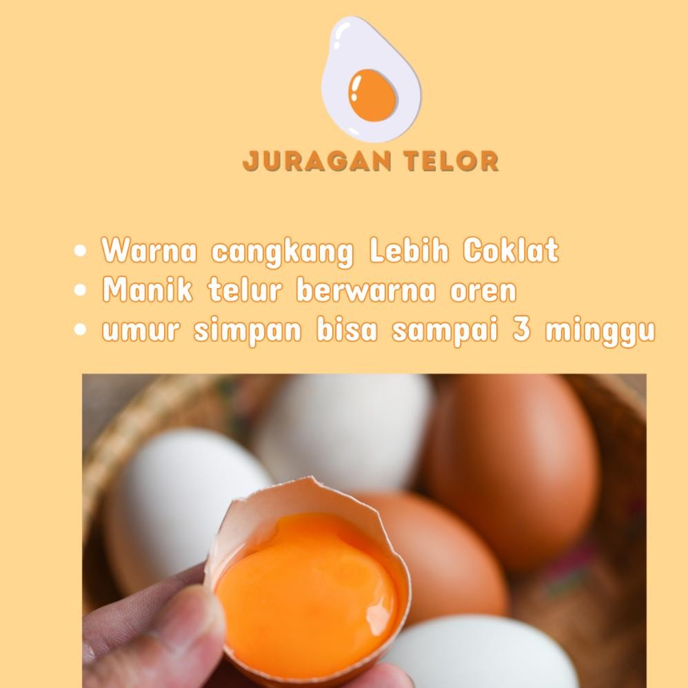 

TELUR AYAM SUPER PREMIUM BAIK UNTUK KESEHATAN TUBUH