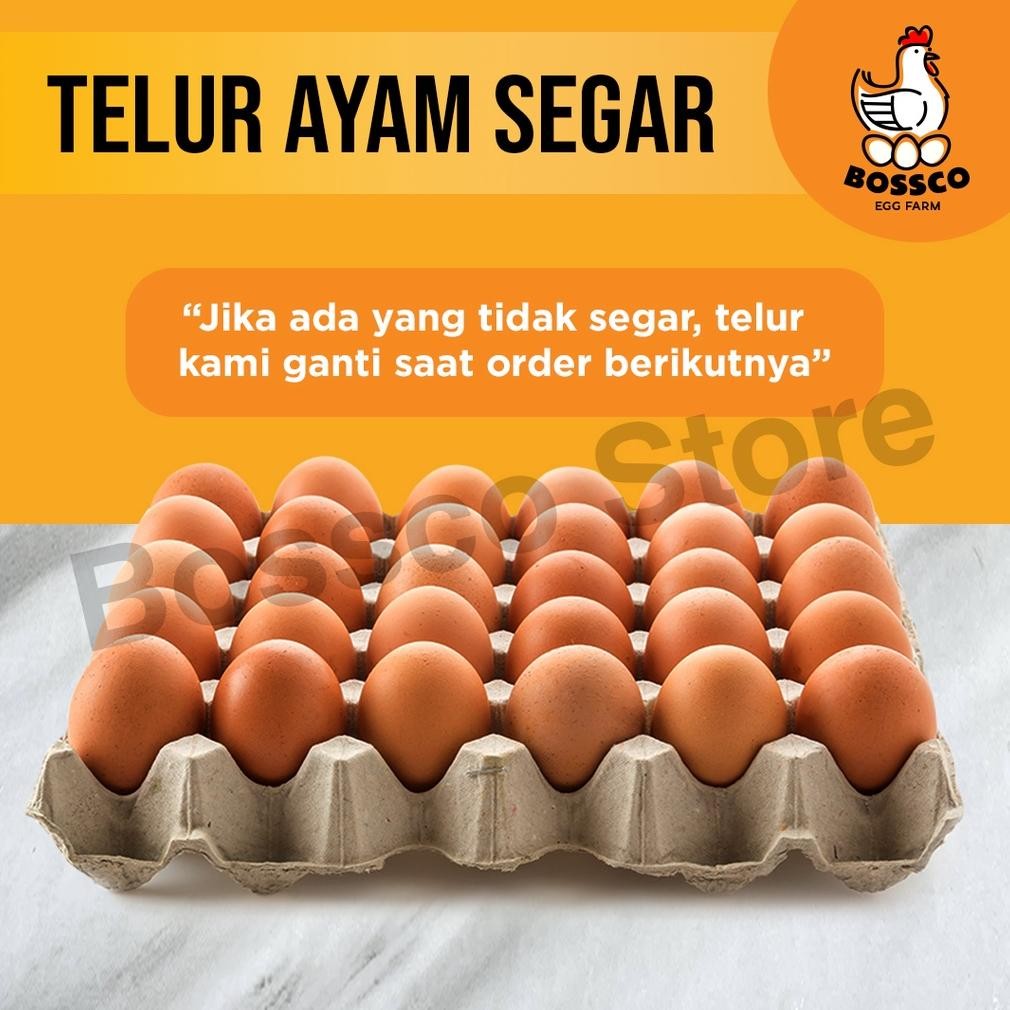 

TELUR AYAM NEGERI FRESH/ TELOR AYAM NEGRI PER 1 TRAY TELUR AYAM PREMIUM TELOR AYAM PREMIUM TELUR SEGAR TELUR AYAM SEGAR TELUR ORGANIK TELUR BEBAS BAKTERI TELOR AYAM SEGAR TELOR ORGANIK TELOR AYAM SEGAR TELUR OMEGA TELOR OMEGA