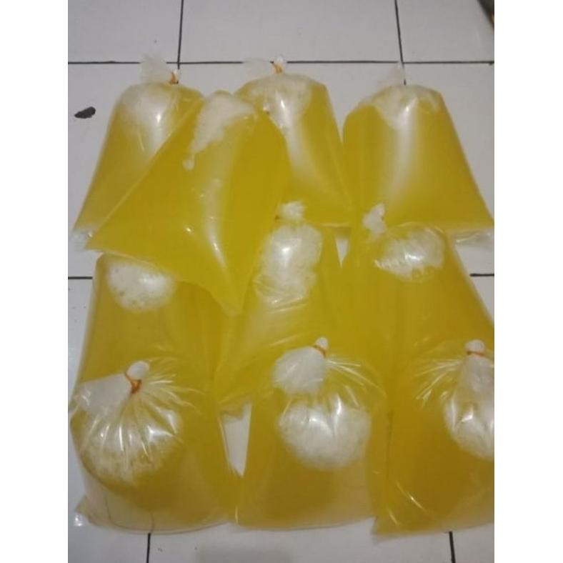 

PUTIH TELUR MENTAH SEGAR 1KG TANPA CAMPURAN