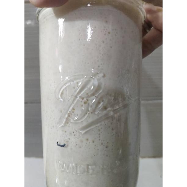 

SOURDOUGH STARTER KERING/ Dried - Ragi Alami KERING SV
