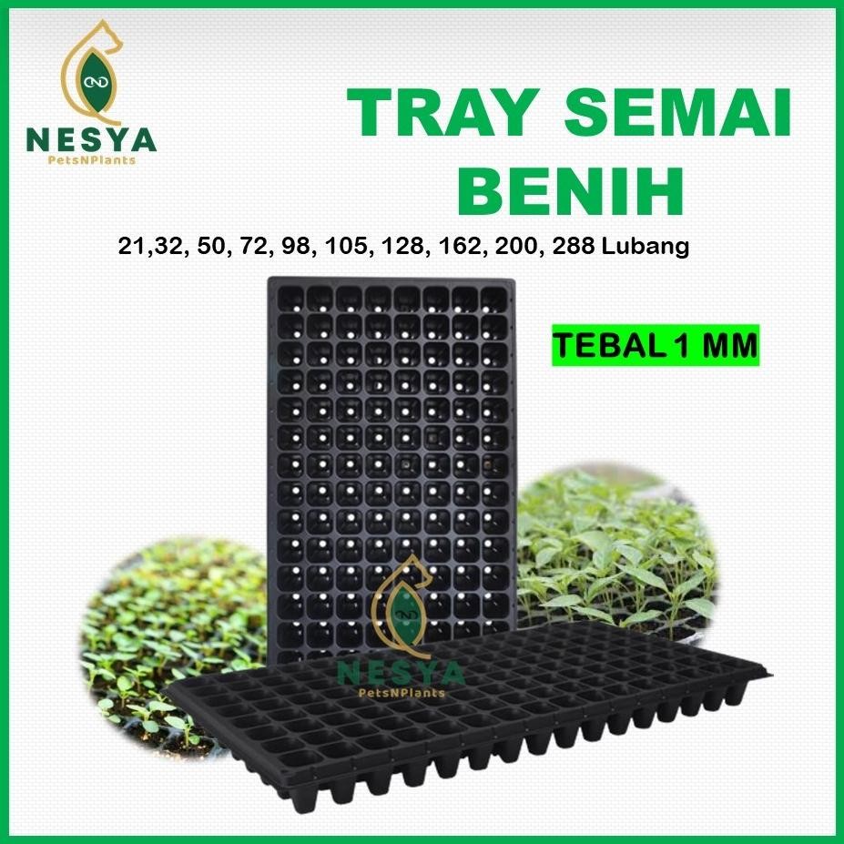 Bisa Cod Tray Trai Semai Pot Tray 4 32 50 72 98 105 128 162 200 288 Lubang - Tray Semai 