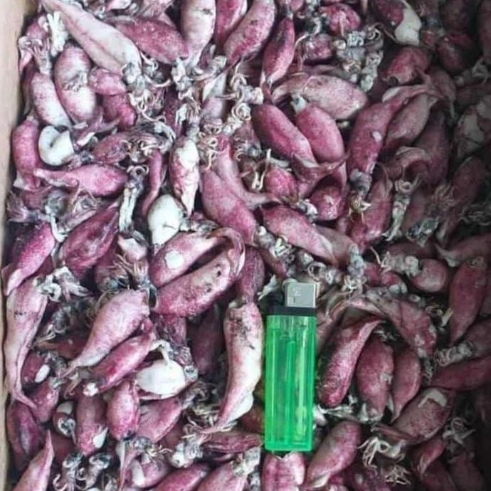 

Cumi Asin Rebus 250Gr 500Gr 1Kg