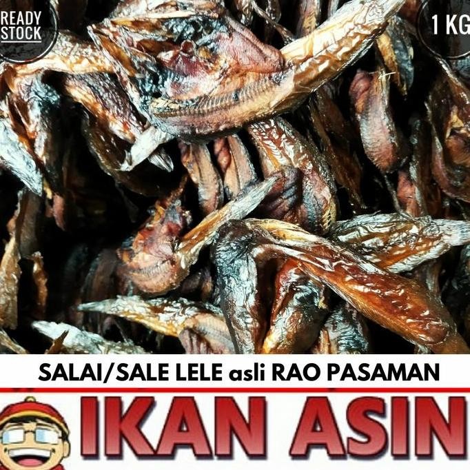 

Ikan Salai / Sale / Lele Asap 1 Kg